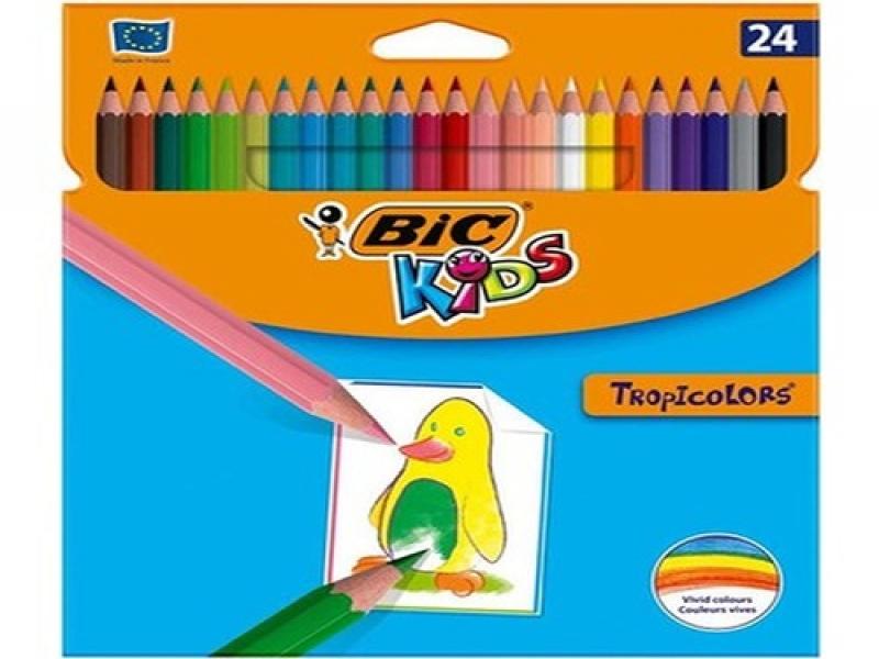 BİC 24'LÜ KURU BOYA KARTON KUTU